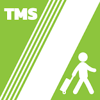 SCHWING TMS