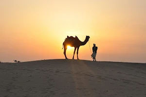 Camel wallpapers Screenshot 3