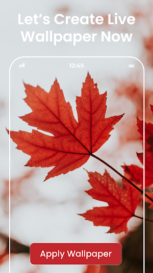 Video Live Wallpaper Maker HD Screenshot 2