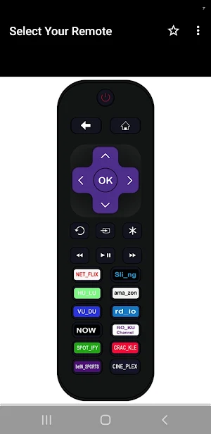 Nasco TV Remote Screenshot 3