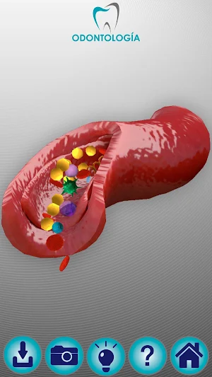 Odontología SR Screenshot 1