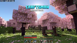 Craftsman Remastered Screenshot 3