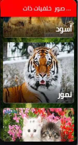 صور  خلفيات-various wallpaper Screenshot 0