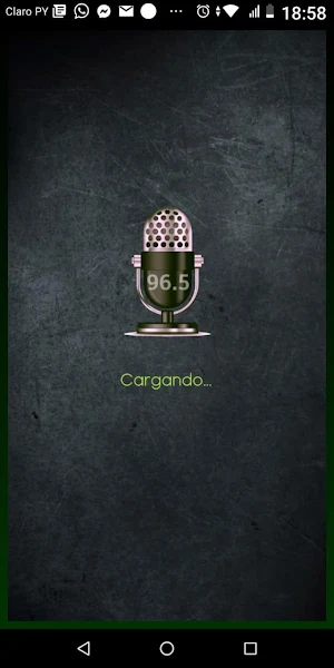 Radio Ybyrarobana FM 96.5 Screenshot 0