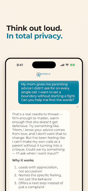 Private.ai Screenshot 1