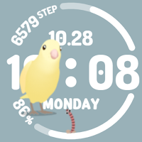 Wiggle Cockatiel Watch face