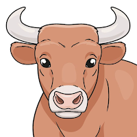 Bulls and Cows Game