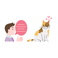 Speak to your Kitten