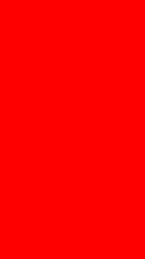 Phone Screen Test Screenshot 0