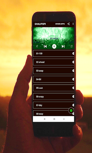 shallipopi-all-songs Screenshot 0