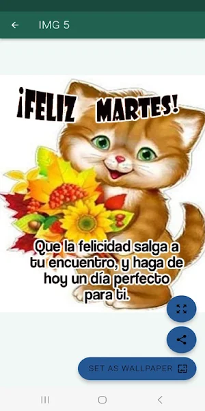 Saludos Diarios Bonitos Screenshot 2