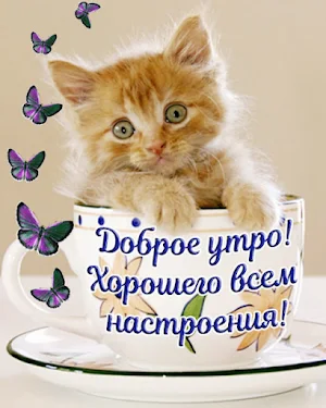 Доброе утро Хорошего дня Screenshot 0
