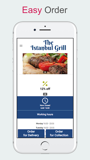 Istanbul Grill Gosport Screenshot 0