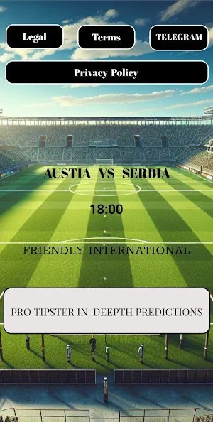 Soccer Analysis - Single match Screenshot 0