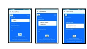 TaurusWebs V2025 Screenshot 1