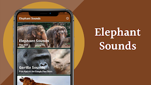 Elephant Sounds Screenshot 1
