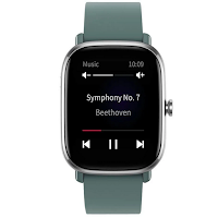 GTS 2 Mini - Watchface