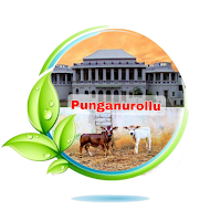 Punganurollu