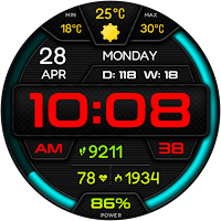 DIGI BRUNATOL Watch face