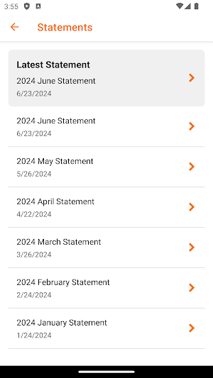 Munsoft Consumer Portal Screenshot 2