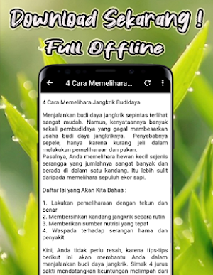 Suara Jangkrik Mp3 Full Offline Screenshot 3