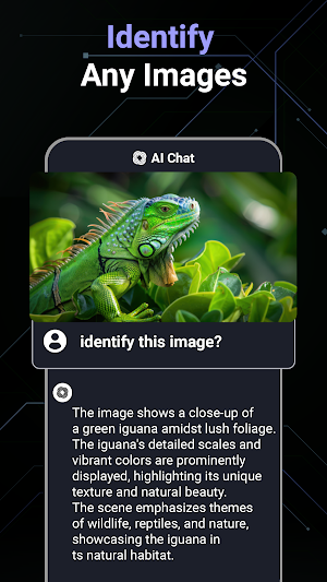 AI Chat - Ask to AI Chatbot Screenshot 2