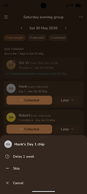 Meeting Chips Screenshot 1