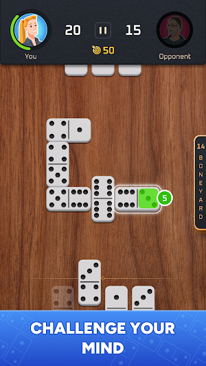 Dominoes Tour — Classic Domino Screenshot 0