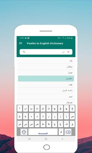 Pashto Dictionary Screenshot 2