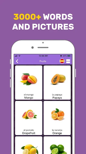 Learn English Vocabulary Screenshot 0