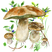 Mushrooms app