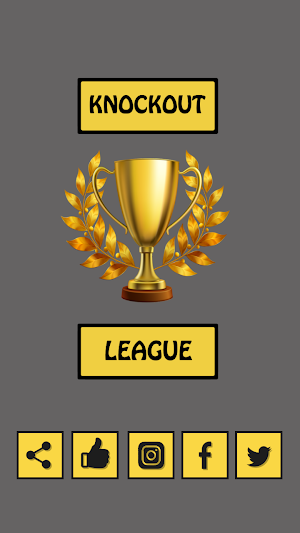 Tournament Draw Maker Screenshot 0