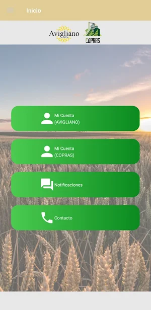 Avigliano y CIA SRL Screenshot 1