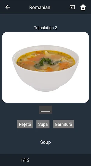 Learn Romanian. Speak Romanian. Study Romanian. Screenshot 3
