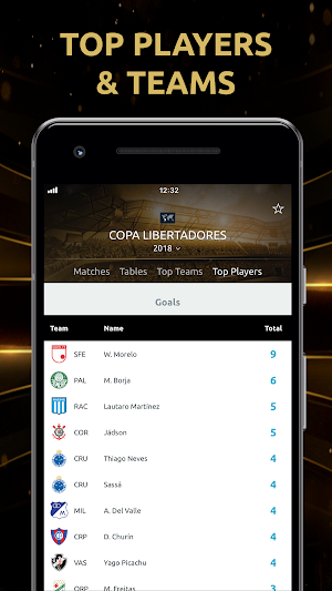 CONMEBOL Libertadores Screenshot 3