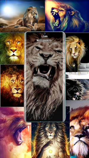Lion Wallpapers lion HD Screenshot 0