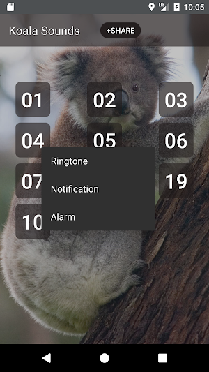 Koala Sounds Screenshot 1