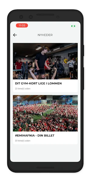 Hafnia Hallen Screenshot 3