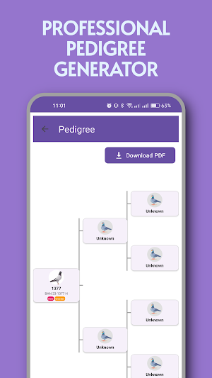 PigeonProfile - Loft Manager Screenshot 2