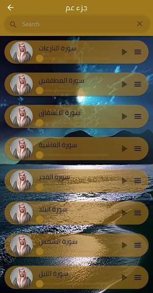 اسلام صبحي قرآن mp3 Screenshot 1