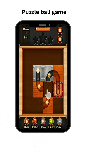 Puzzle ball game Screenshot 3