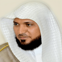 All quran recitation