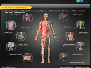 HumanAnatomy-Digestive Screenshot 0