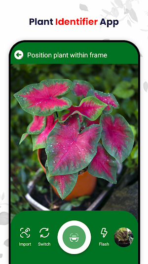 Plant Scanner : Plant Id App Screenshot 1