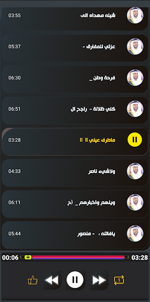 شيلات سلطان البريكي بدون نت Screenshot 3