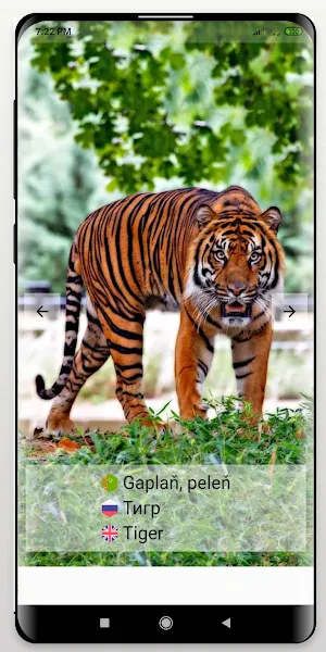 Haýwanat Bagy Screenshot 2