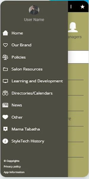 StyleTech Screenshot 0