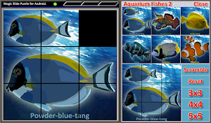 Magic Slide Puzzle A Fishes 2 Screenshot 1