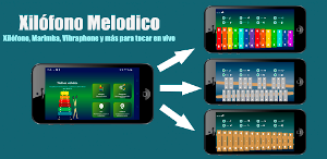 Xilófono Melódico Screenshot 0