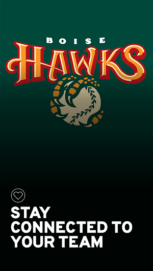 Boise Hawks Screenshot 0